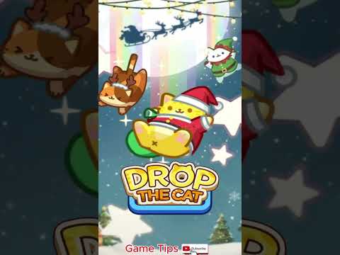 Drop The Cat Level 63